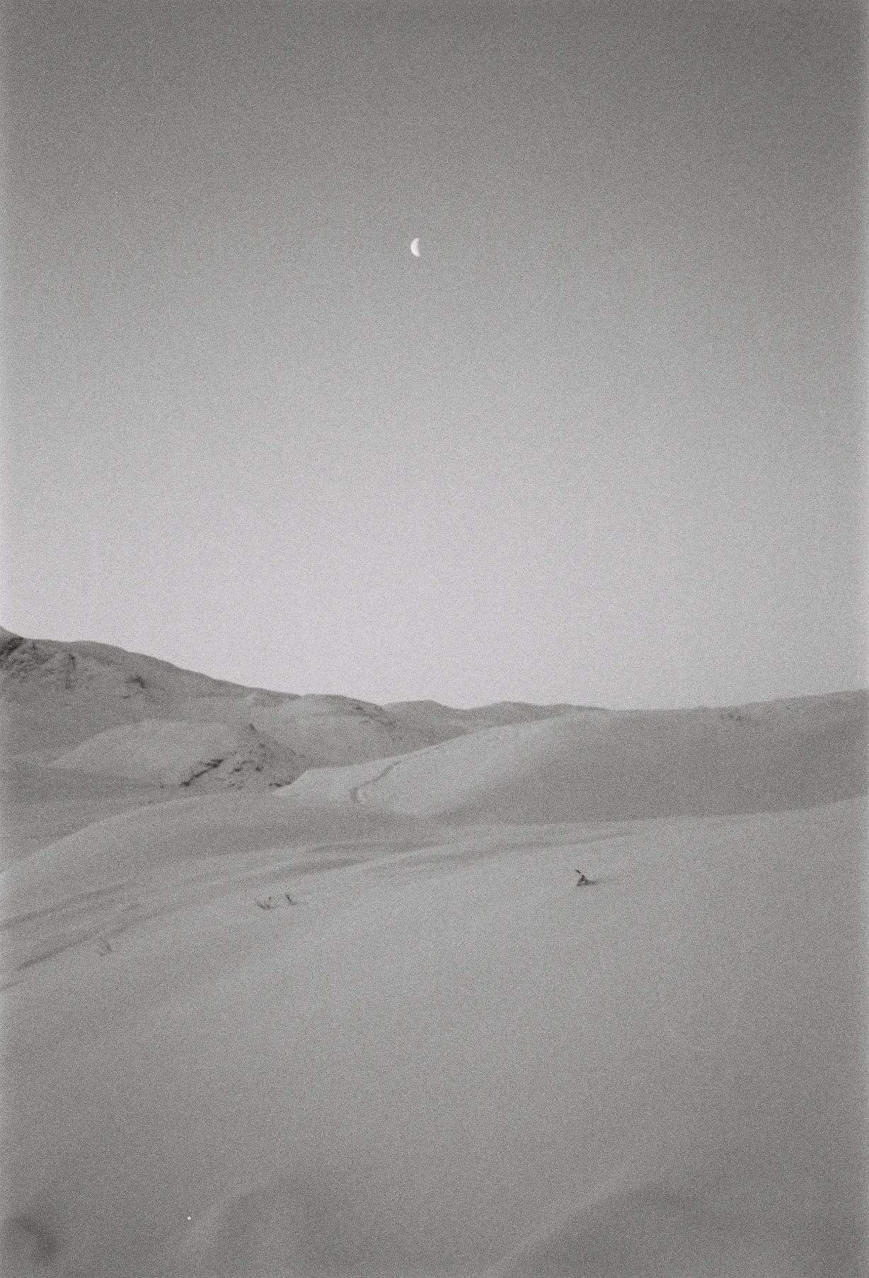 Photographic Scene